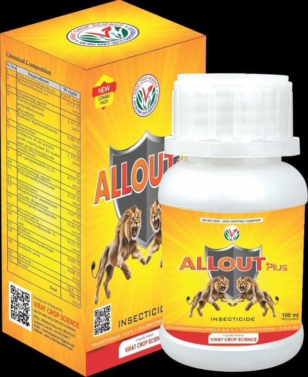 Allout Plus