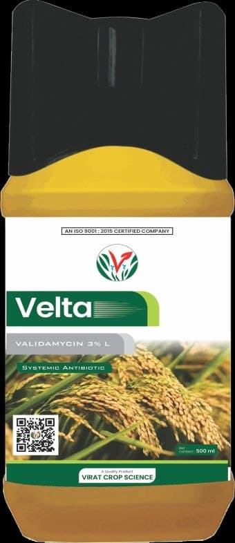 Velta