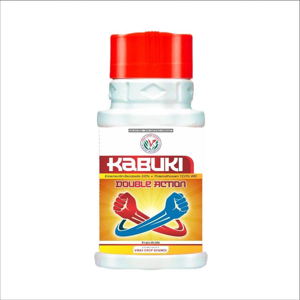 Kabuki Double Action