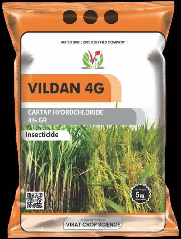 Vildan 4G (Manuma)