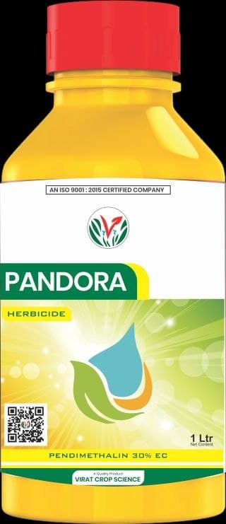 Pandora