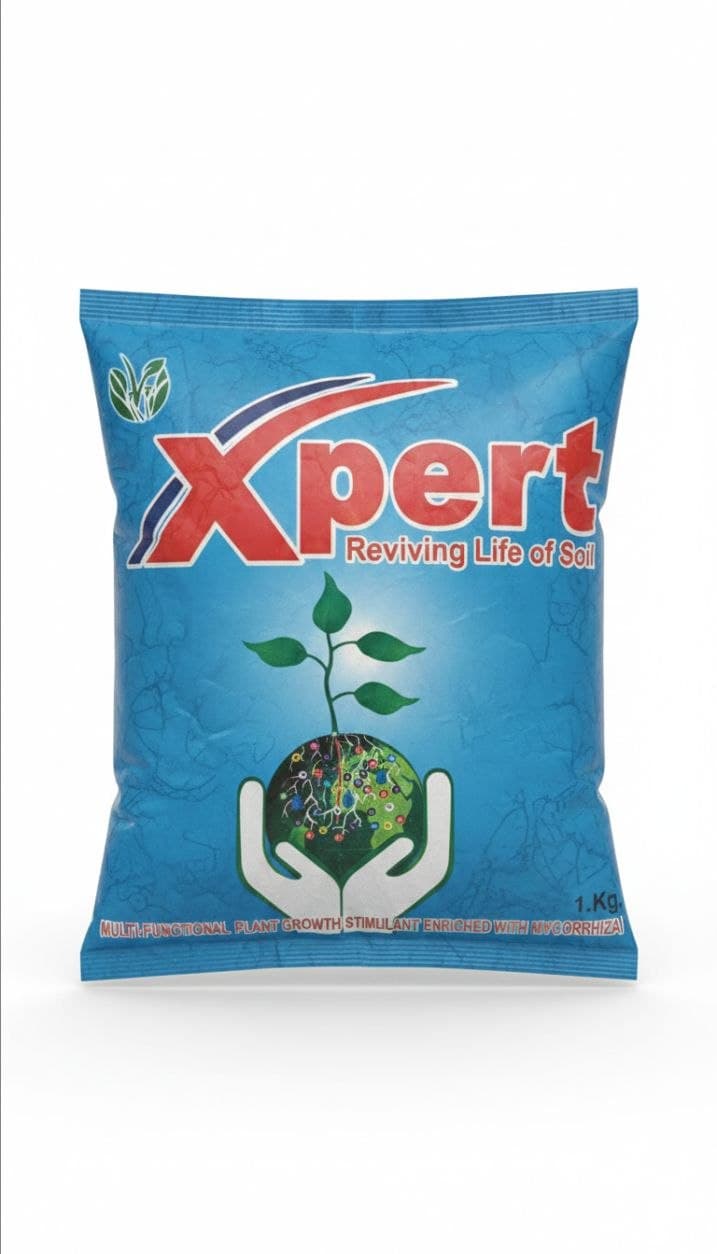 Xpert Reviving Life
