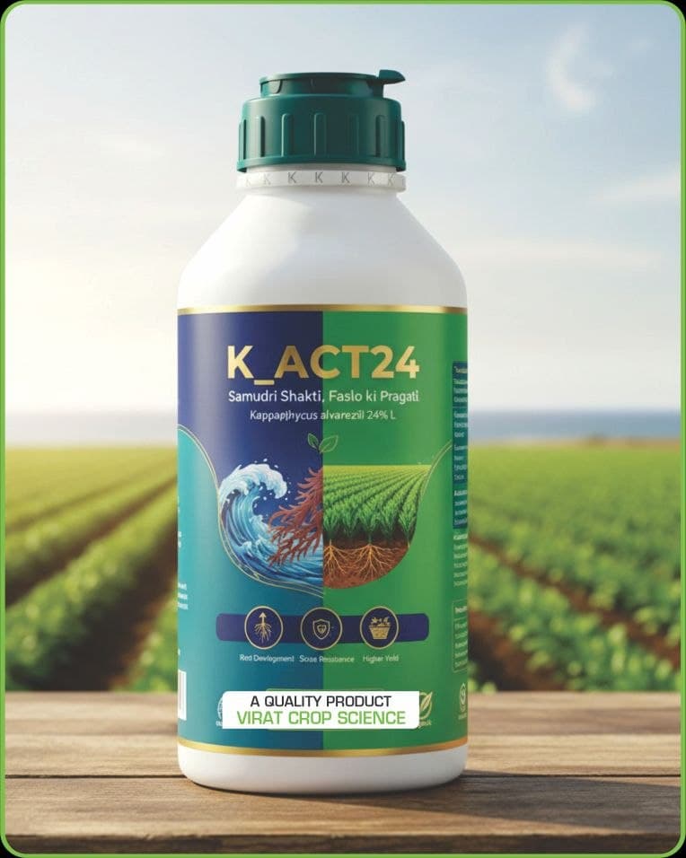 K Act 24